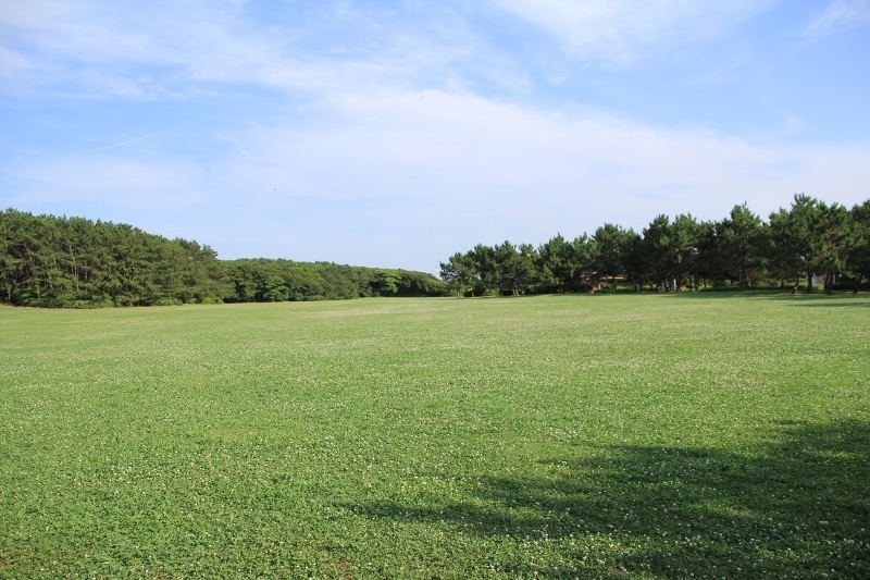稲毛海浜公園 千葉市民ライターがゆく 千葉市民が 千葉市の魅力的な情報を紹介 まいぷれ 千葉市美浜区 稲毛海浜公園 千葉市民ライターがゆく 千葉市民が 千葉市の魅力的な情報を紹介 まいぷれ 千葉市美浜区