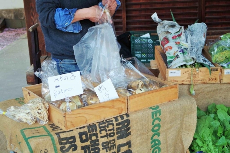 朝採れたばかりの新鮮なお野菜が並んでいます。