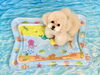 ハッピーちゃん「波とわんこ🌊」
