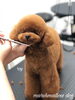 「秋のオプションキャンペーン　^ - ^」