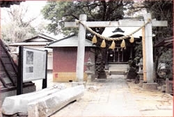 萱田・飯綱神社の鳥居の笠木、島木、扁額が落下