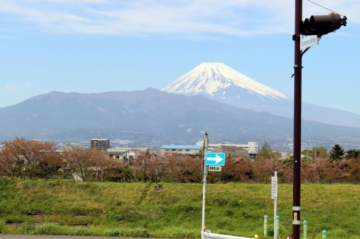 富士山が絵に描いたようです♪