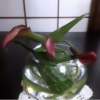 「お花のお稽古」