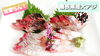 島根県産大アジ【2人前500円(税込)】「○本日のお刺身【しまね定置もん！】【島根県産イサキ、大アジ】」