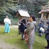 秋鹿（あいか）を満喫、神社めぐり！