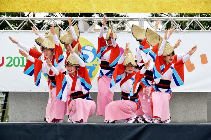 阿波踊りに 和太鼓 よさこいまで 四国の祭り18 In サンポート高松 香川のイベントまとめ まいぷれ 高松市