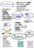 イベント内容「【手作りコレクション inくしろ元町】出店します✨」