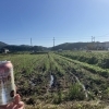 黒豆畑と缶チューハイ🌟「☆女子ひとり呑み日記☆　」