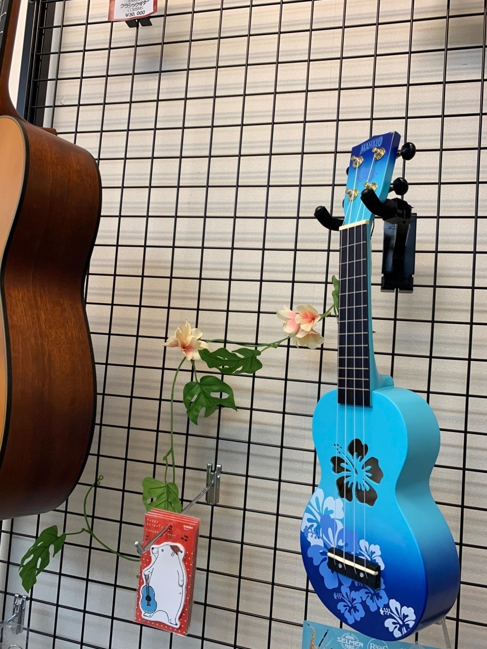 おしゃれなウクレレ 入荷いたしましたよ おしゃれなウクレレ 入荷いたしましたよ