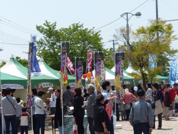 9：00の開店前から、道の駅「たまつくり」には沢山の人が集まりました（≧▽≦）