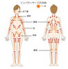 ラジオ波でリンパの流れに沿ってマッサージ「お腹の脂肪が硬いと　減りにくいです【女性専用24Hジム＆セルフエステ＆セルフ脱毛】」