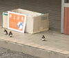 巣が落ちてしまい、雛たちも落下してしまったよう…「♪無事に旅立ちました♪」