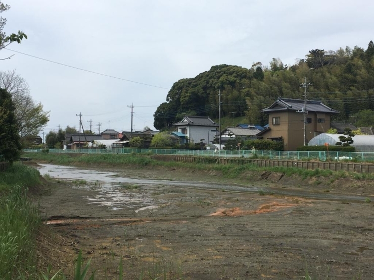 今は上流で水量をコントロールしているのでずいぶん水が減りましたね。