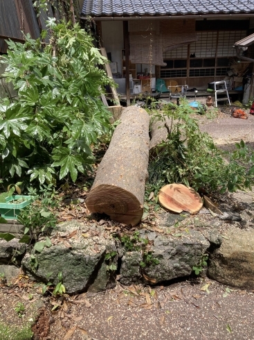 「岡山県新見市内　支障木特殊伐採」