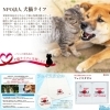 「🐱西条市ふるさと納税認定品🐱 【保護犬猫活動の支援コラボ商品】 『伊予西条なめねこタオル』」
