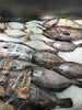 「本日のおすすめ！釧路スーパーヒロセ」