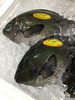 「魚魚市場鮮魚コーナーおすすめは「ヒゲグラ」〜」