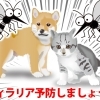 蚊に注意！犬猫のフィラリア予防について