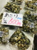 「西海物産館 魚魚市場鮮魚コーナーおすすめ商品は「活きあさり大特価で販売中！」です♪」