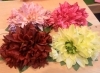 「マウナケア観音店🌺クリップのご紹介🌴」