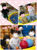 ボールあそび楽しいね！「新しいお友だちが来てくれました♡【交野市・小規模保育園】」