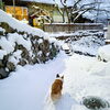 hug「Good morning Otaru!」