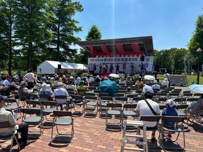 「晴天の水元公園☀️2024葛飾菖蒲まつり✨花菖蒲も見頃💕元気いっぱい『柴又おじぎ茶屋』さん含む出店ブースやイベントで大盛況❗️［2024年6月8日（土）撮影・都立水元公園］」