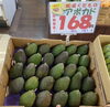 ペルー産　アボカド🥑　森のバター✨栄養満点！「ビタミンたっぷりの新鮮オレンジ😄　元気に夏を過ごしましょう☀️　枚方ビオルネ地下1階　新鮮果実 日野屋」