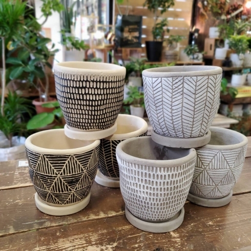 はなやホック皆生 陶器鉢カバー はなや皆生店のニュース まいぷれ 米子 はなやホック皆生 陶器鉢カバー はなや皆生店のニュース まいぷれ 米子