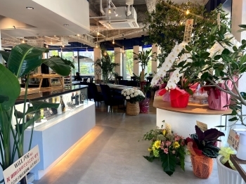 芦屋川のほとりにあるカフェ レストラン Will芦屋 でランチ 芦屋市ランチ特集 まいぷれ 芦屋市 芦屋川のほとりにあるカフェ レストラン Will芦屋 でランチ 芦屋市ランチ特集 まいぷれ 芦屋市