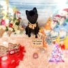 ポメラニアン　カット「🐾🎁📅カレンダープレゼント📅🎁🐾🌺⛄️new背景⛄️🌺」