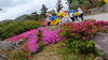「年長組　たけのこ掘り＆佐世保花園」