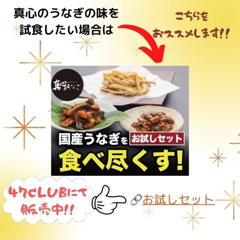 「★国産うなぎの中村商店★お歳暮のお試しにいかがですか？【宮崎市　うなぎ　お歳暮　お試しセット】」