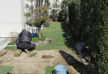 花壇の周りも芝の大きさを変えながら敷き詰めていきます。