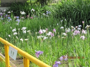 四季折々の花々を楽しめます