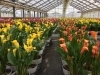 須貝花園 ふるさと納税で日本を元気に 茨城県行方市 なめが
