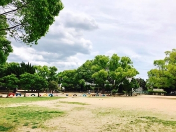 公園広場