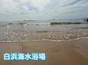 「今日の1枚📷」