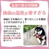 犬のためのお家作り 暑い日のお散歩は注意が必要です 猛暑をどう過ごす 合同会社りぶふるのニュース まいぷれ 江戸川区
