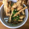 インパクトありすぎ！「満所茶屋」の名物ごぼう天うどん【西都エリア】