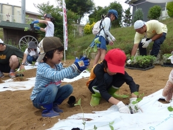 ほらほら、お兄ちゃん！これ、ボクのだよ。