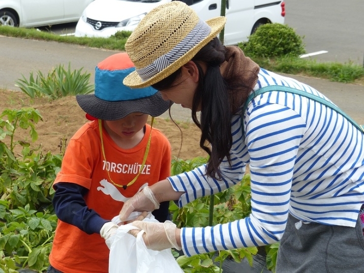 お隣の市からのご参加です。「子どもたちが、じゃがいも大好きだから今日帰ったら早速食べさせてあげようと思います。」と、ニッコリ笑顔のママさん！その後ろで「やったー！」と飛び跳ねる子どもたち（≧▽≦）