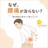 慢性の腰痛、根本から改善しませんか？「整体やマッサージで良くならない腰痛②　体の8つの特徴＜腸・ホルモン・自律神経＞」
