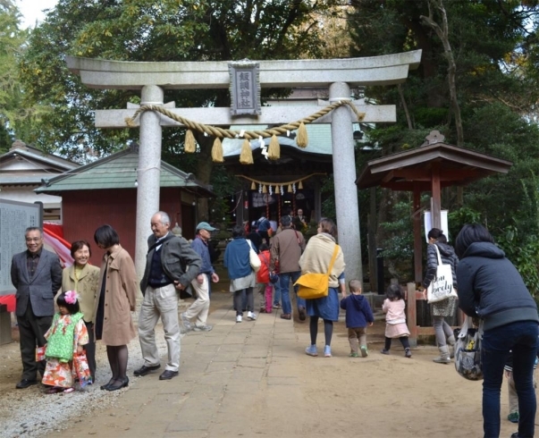 「地元、八千代市で七五三　「飯綱神社」」