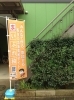 「まいぷれ柏ののぼり」
