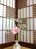 「親子さんで…(*⌒▽⌒*)」