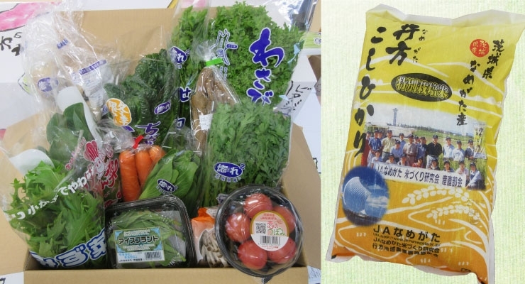 JAなめがた 彩り野菜BOX、行方産米5kg<br>※写真はイメージです。季節によりお野菜の内容は変わります。