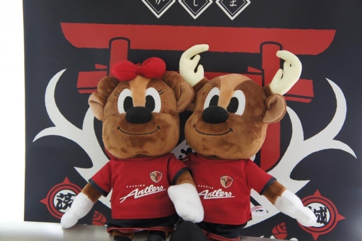 株式会社鹿島アントラーズ エフ シー アントラーズファンクラブ フリークスメンバー まいぷれのふるさと納税 株式会社鹿島アントラーズ エフ シー アントラーズファンクラブ フリークスメンバー まいぷれのふるさと納税