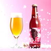 さくら🌸「サンクトガーレン【🌸さくら🌸】【感謝】ビール」