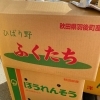 「今年も出荷が始まりました！ でも…岩手県でこの野菜を知ってる人は少ないです…。 秋田県産　「ふくたち」﻿」